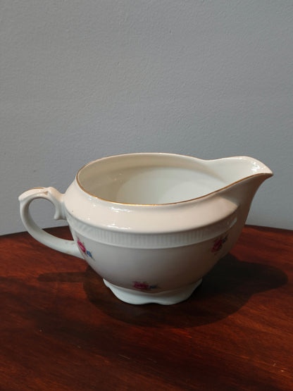 Mlecznik porcelanowy Chodzież