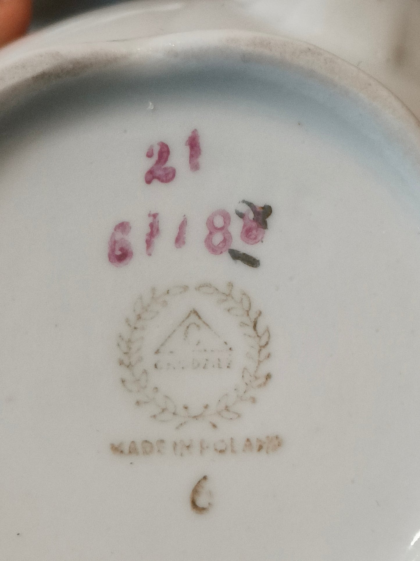 Mlecznik porcelanowy Chodzież