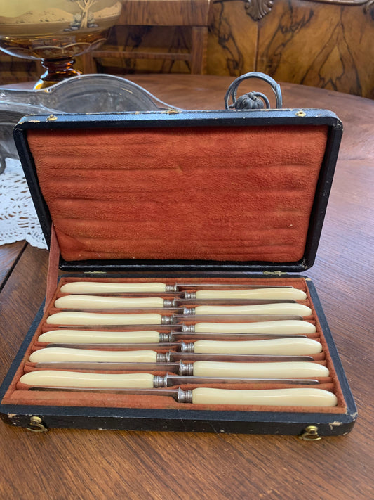 Noże, komplet na 12 os. w futerale, srebro, kość