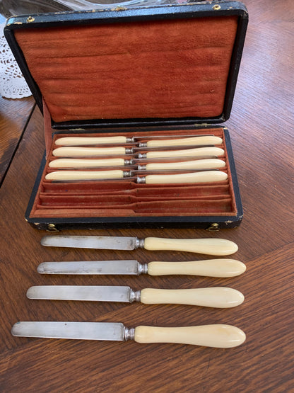 Knives, set for 12 in a case, silver, bone