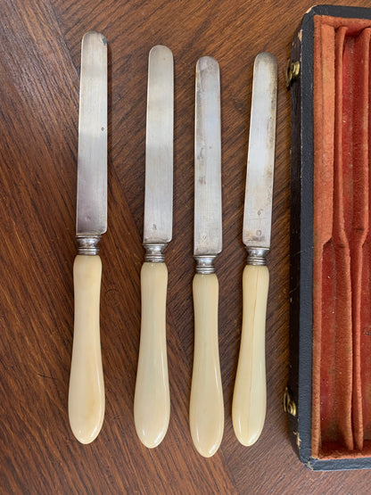 Knives, set for 12 in a case, silver, bone