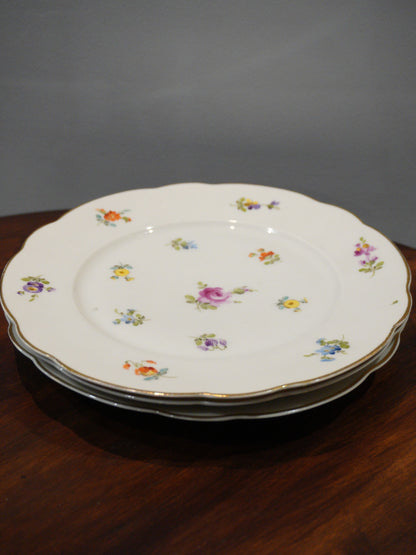 Talerz duży, obiadowy C.T. Altwasser Silesia, dostępne 3 szt.