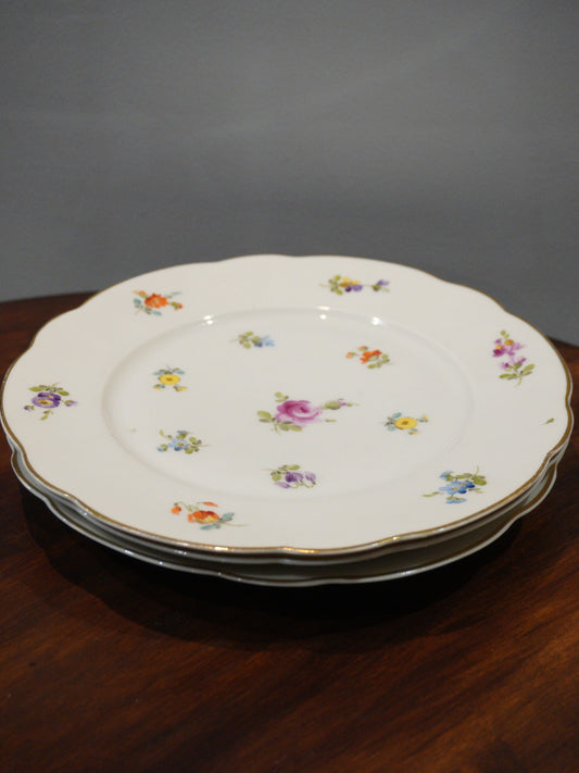 Talerz duży, obiadowy C.T. Altwasser Silesia, dostępne 3 szt.