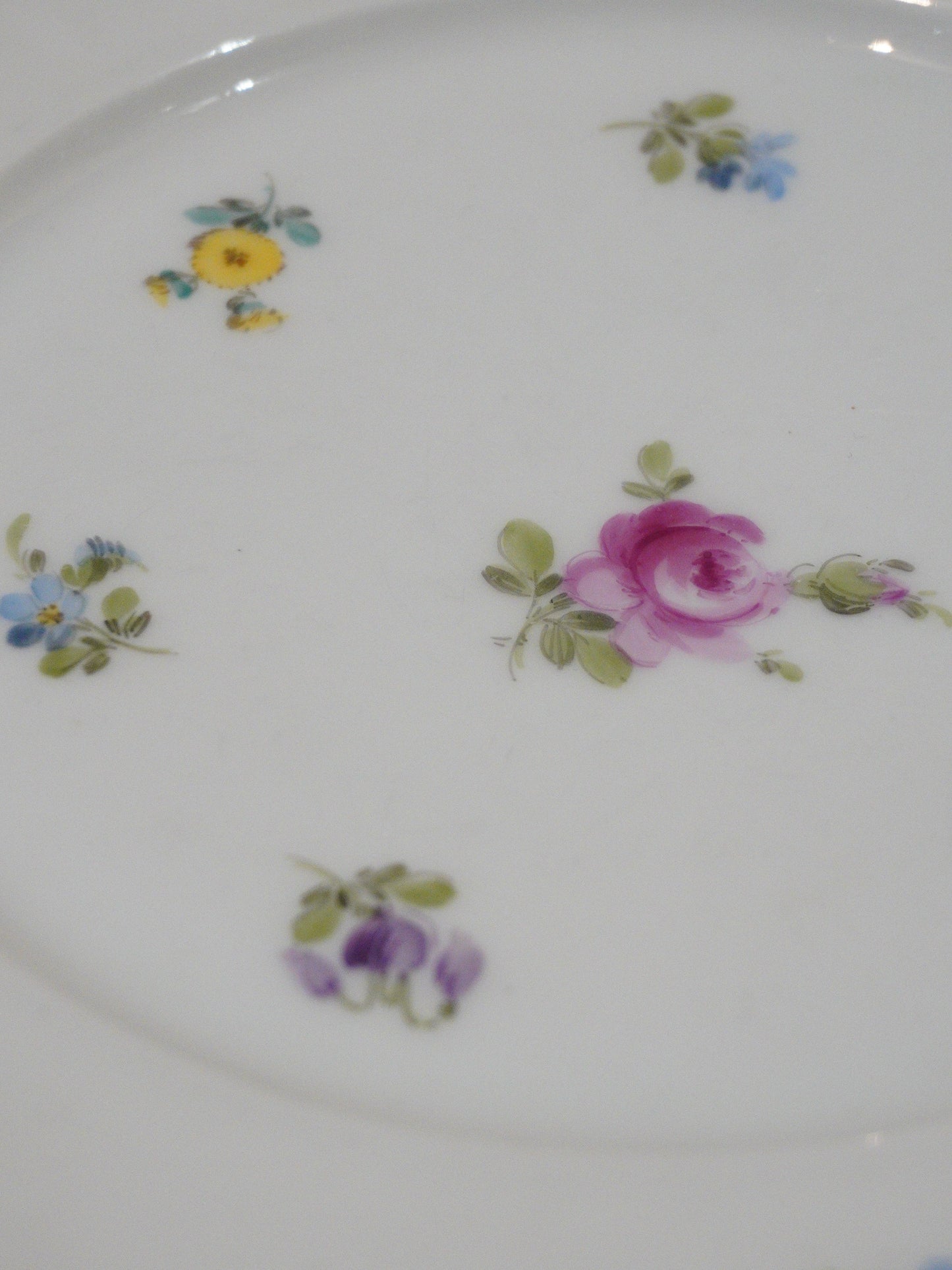 Talerz duży, obiadowy C.T. Altwasser Silesia, dostępne 3 szt.